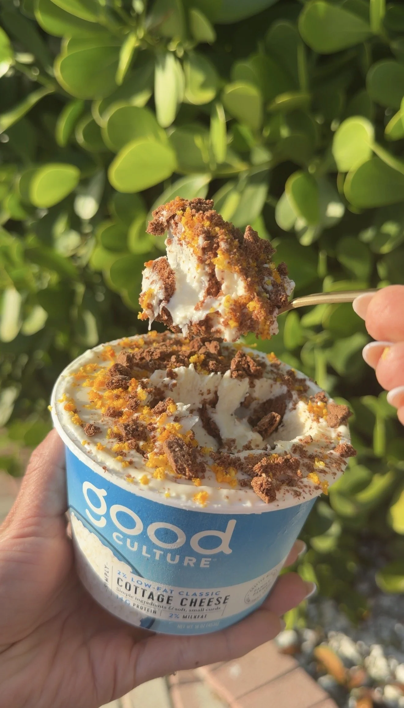 No-Bake Chocolate Orange Protein Cheesecake