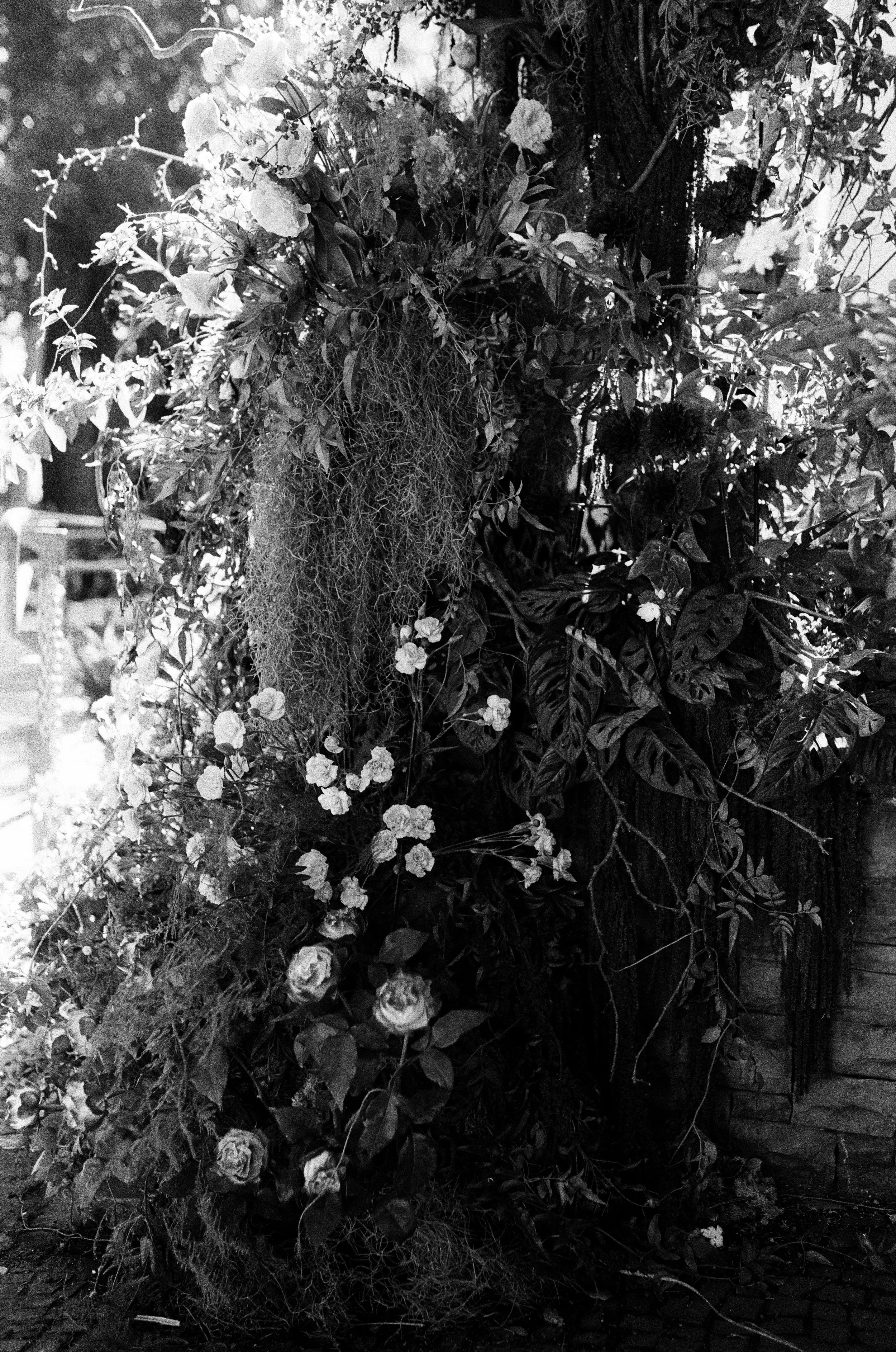 Terrane_analog-4.jpg