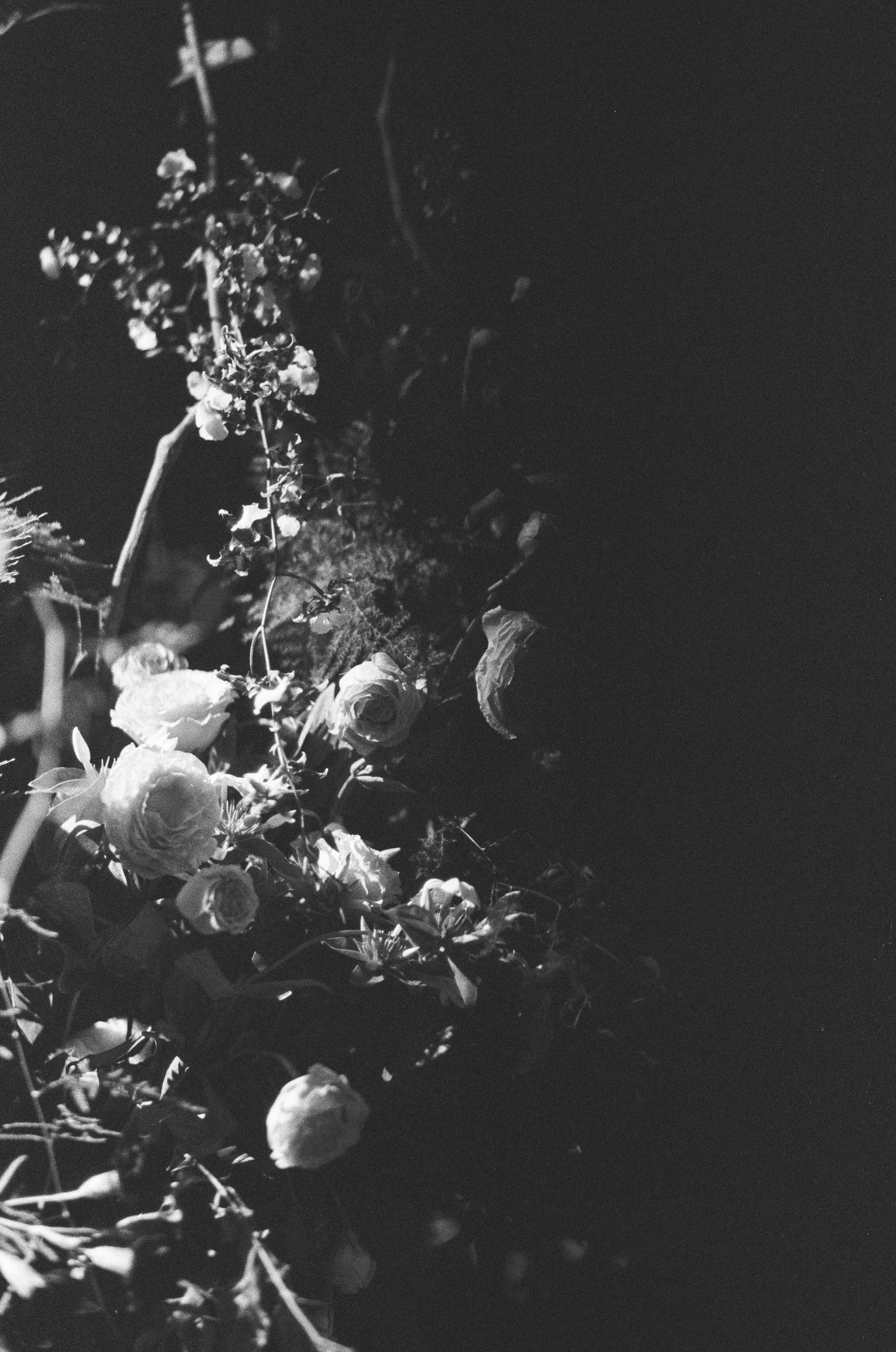 Terrane_analog-6.jpg