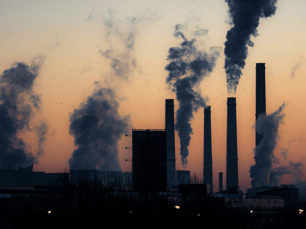 Decarbonisation Readiness: What New Power Plant Developers Need to Know