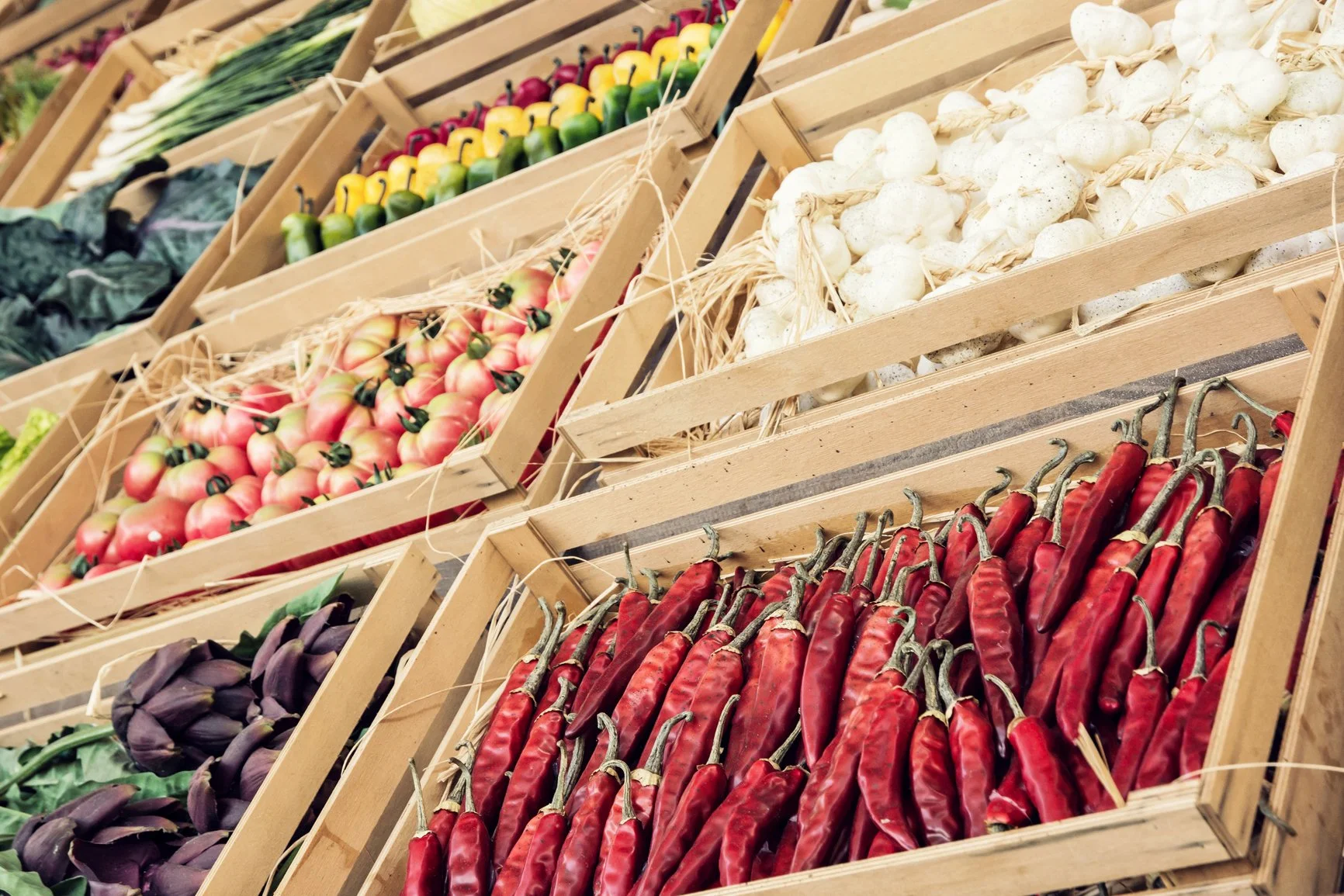 Básicos para facilitar la vida