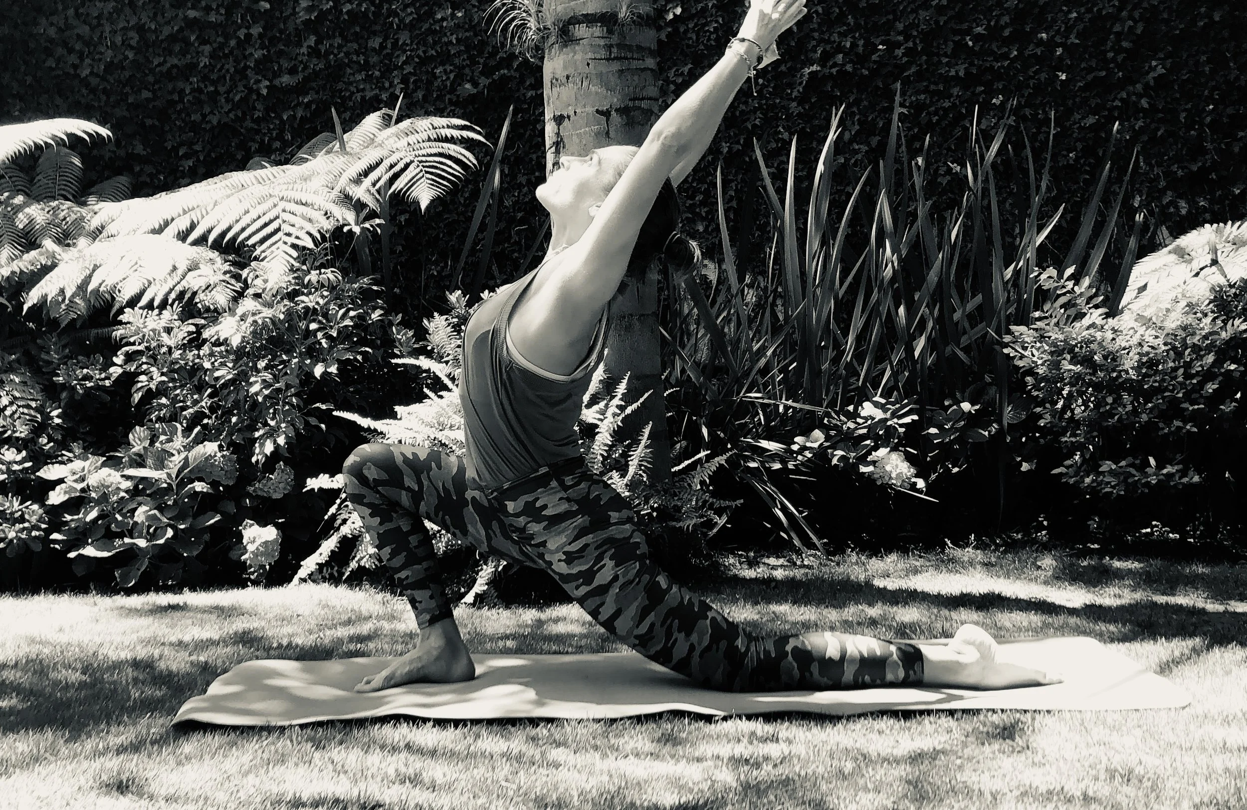 Encontrando luz en la dificultad