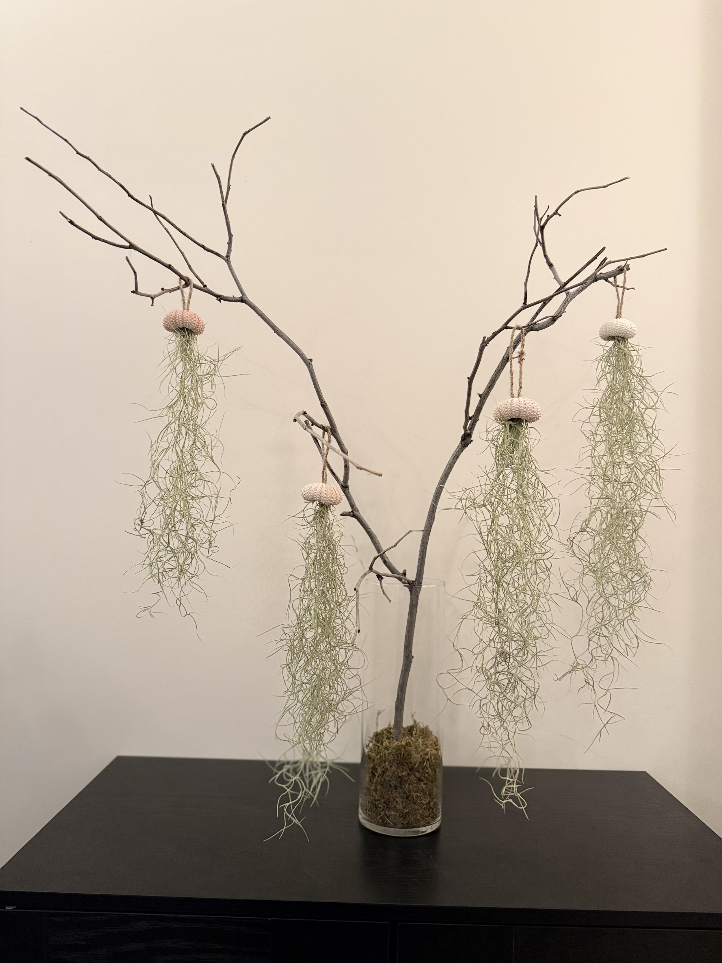 Wild Solstice Branch