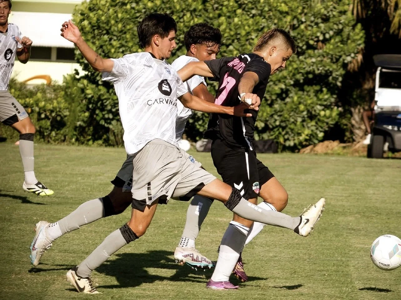 Blog Post Title Four