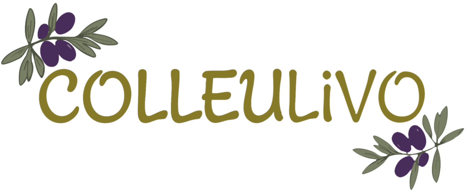 Colleulivo Home Cooking Classes in Umbria