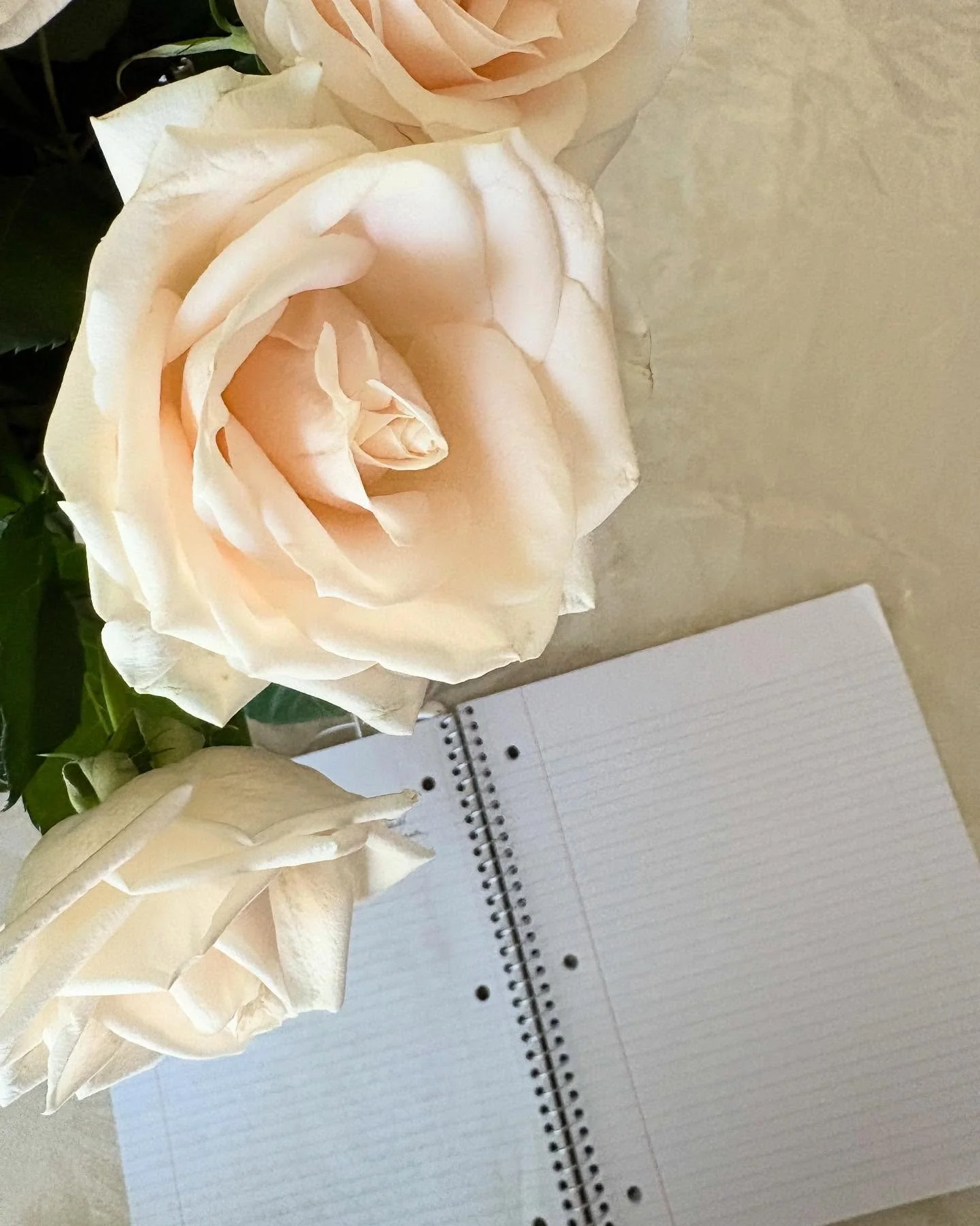 Writers - do you prefer pen/paper or iPads/computers?

Usually I like typing drafts - it&rsquo;s way faster and editing and easier to edit and share:)

But I&rsquo;ve started editing a new draft of my ✨star story ✨ by hand. 

This draft just seems li