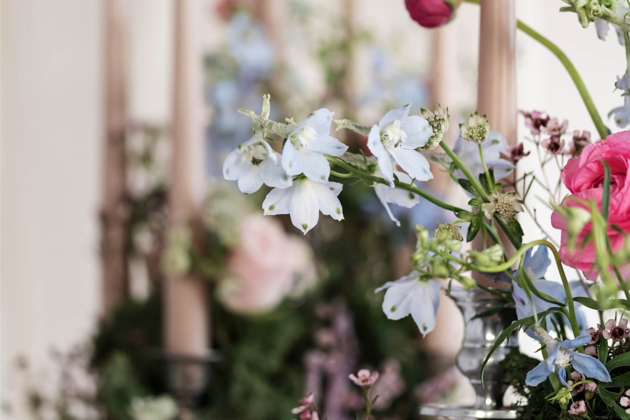A bouquet of white, pink, and purple flowers arranged in a vase with blurred background