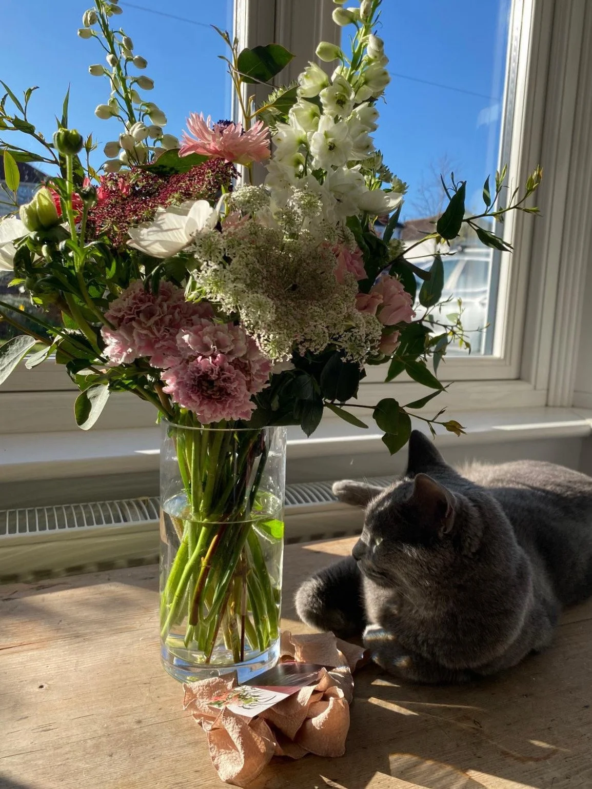 A large bouquet received as a gift inside a home in London with a grey cat lying beside it