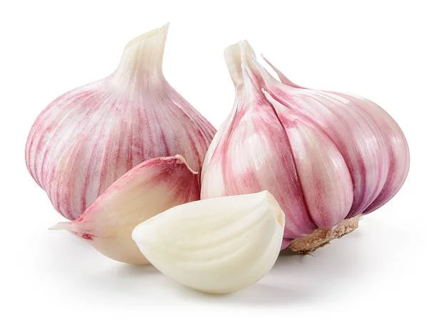5.31.26 - Garlic - Materia Medica Moonlit Meditation