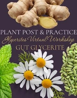 Glycerites - Gut Glycerite Demo