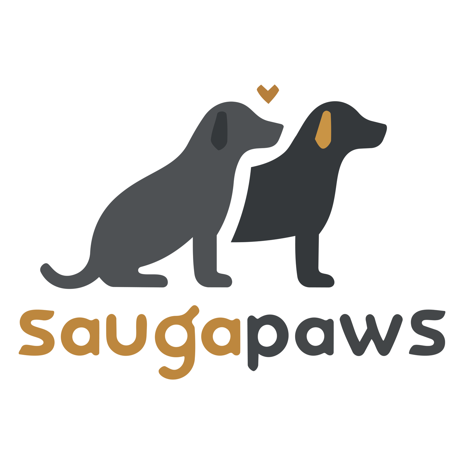 Saugapaws | Professional Dog Training in Saugatuck, Douglas and Fennville.