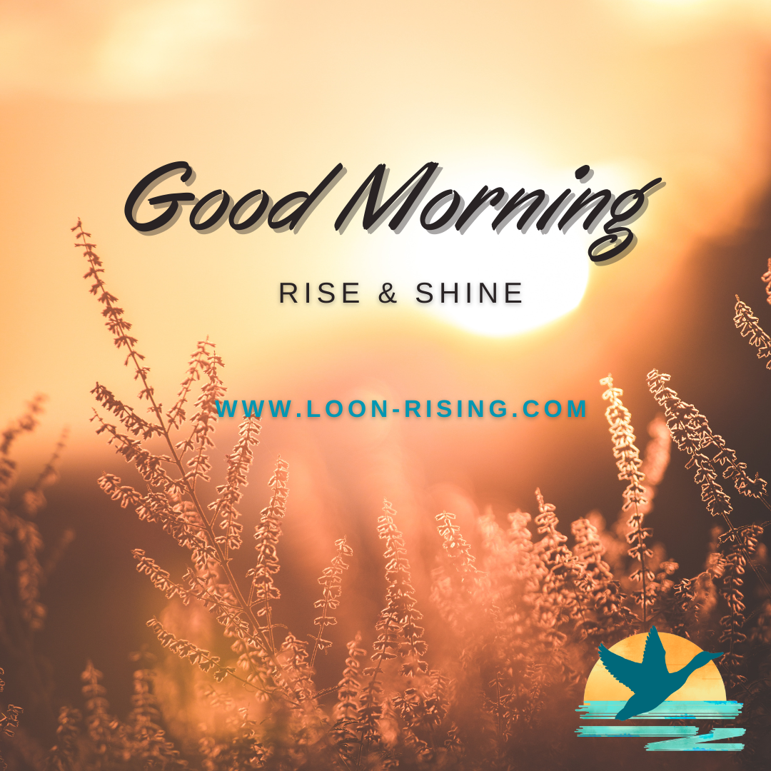 Rise &amp; ShiNE, More ways to fly