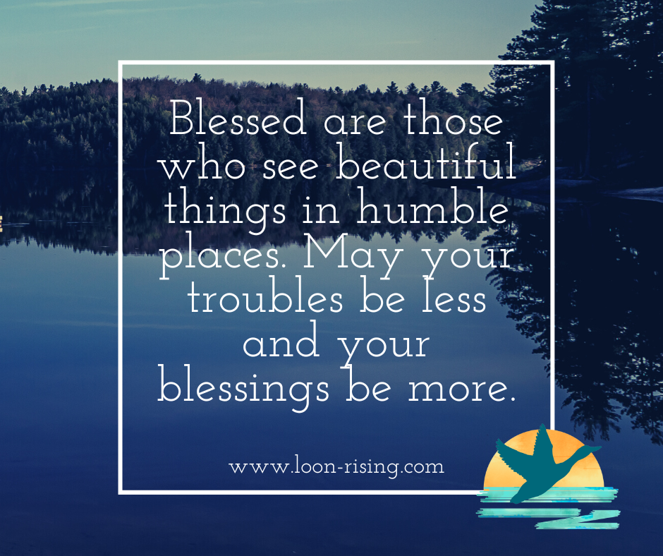 Common Loon, uncommon serenity