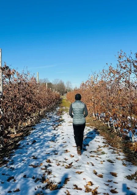 Awe as a tool for wintering well