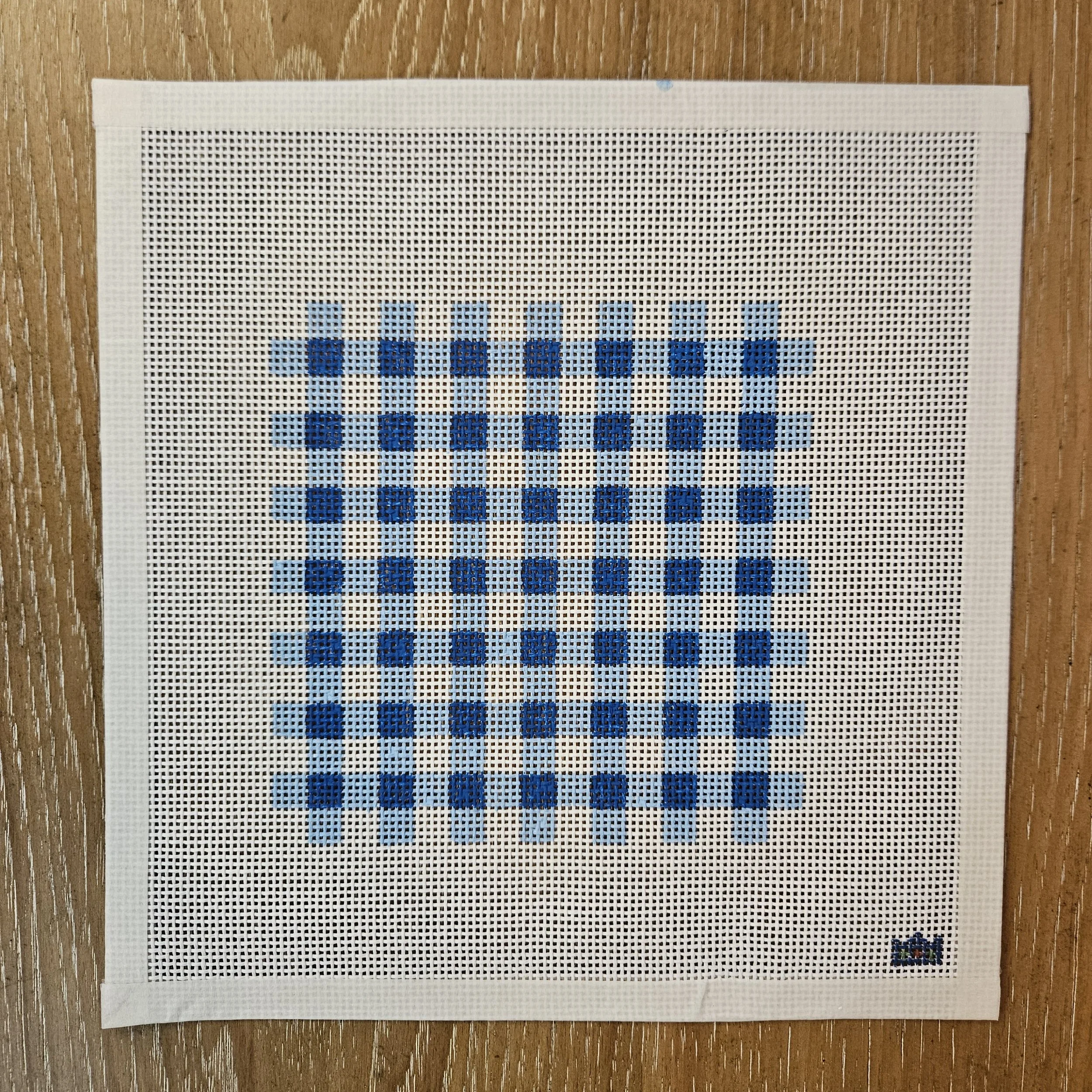 Blue Gingham Canvas