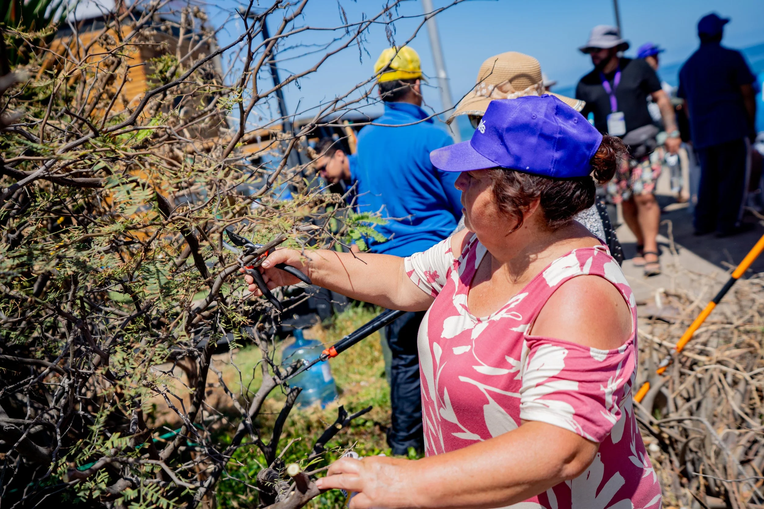ENVIS DÍA 3. 11-01-26-313.jpg