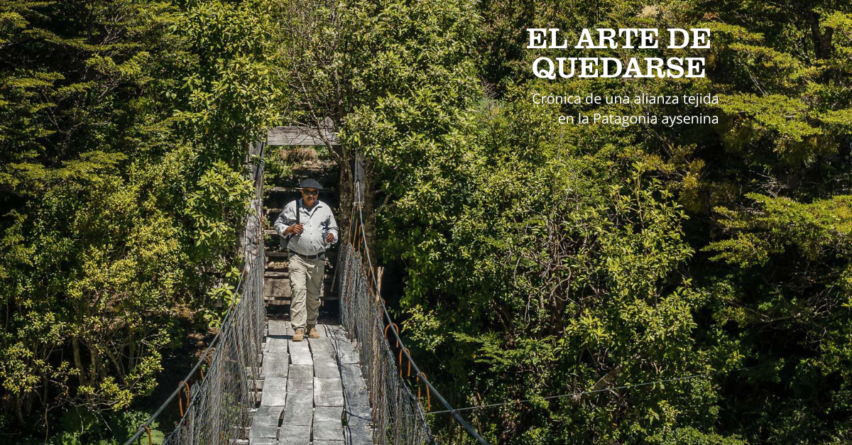 Descarga el storybook “El arte de quedarse”: Crónica de una alianza tejida en la Patagonia aysenina