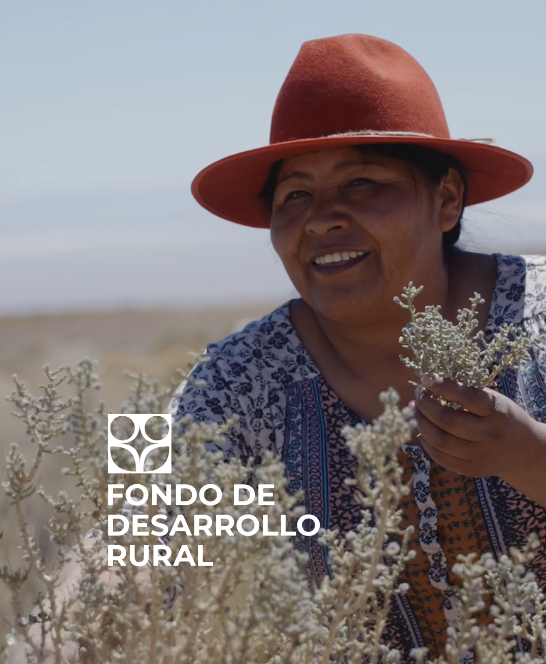 Captura de pantalla 2025-09-17 a la(s) 7.24.59 p.m..png