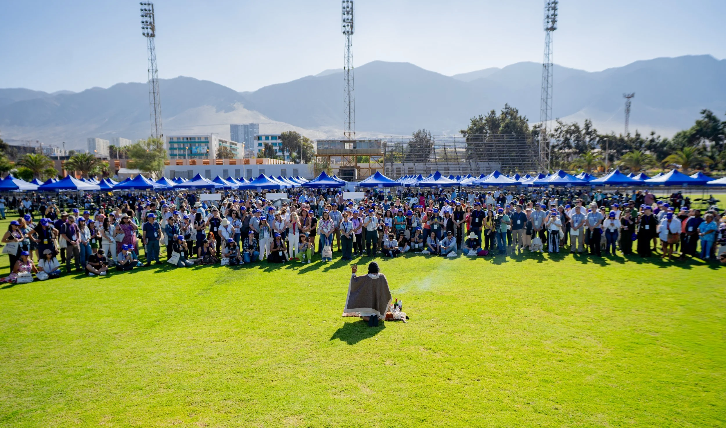 SELECCIÓN ENVIS 10-01-25-31 (1).jpg