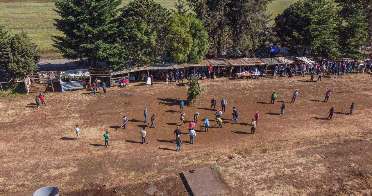 WhatsApp Image 2022-03-15 at 11.10.50 AM.jpeg