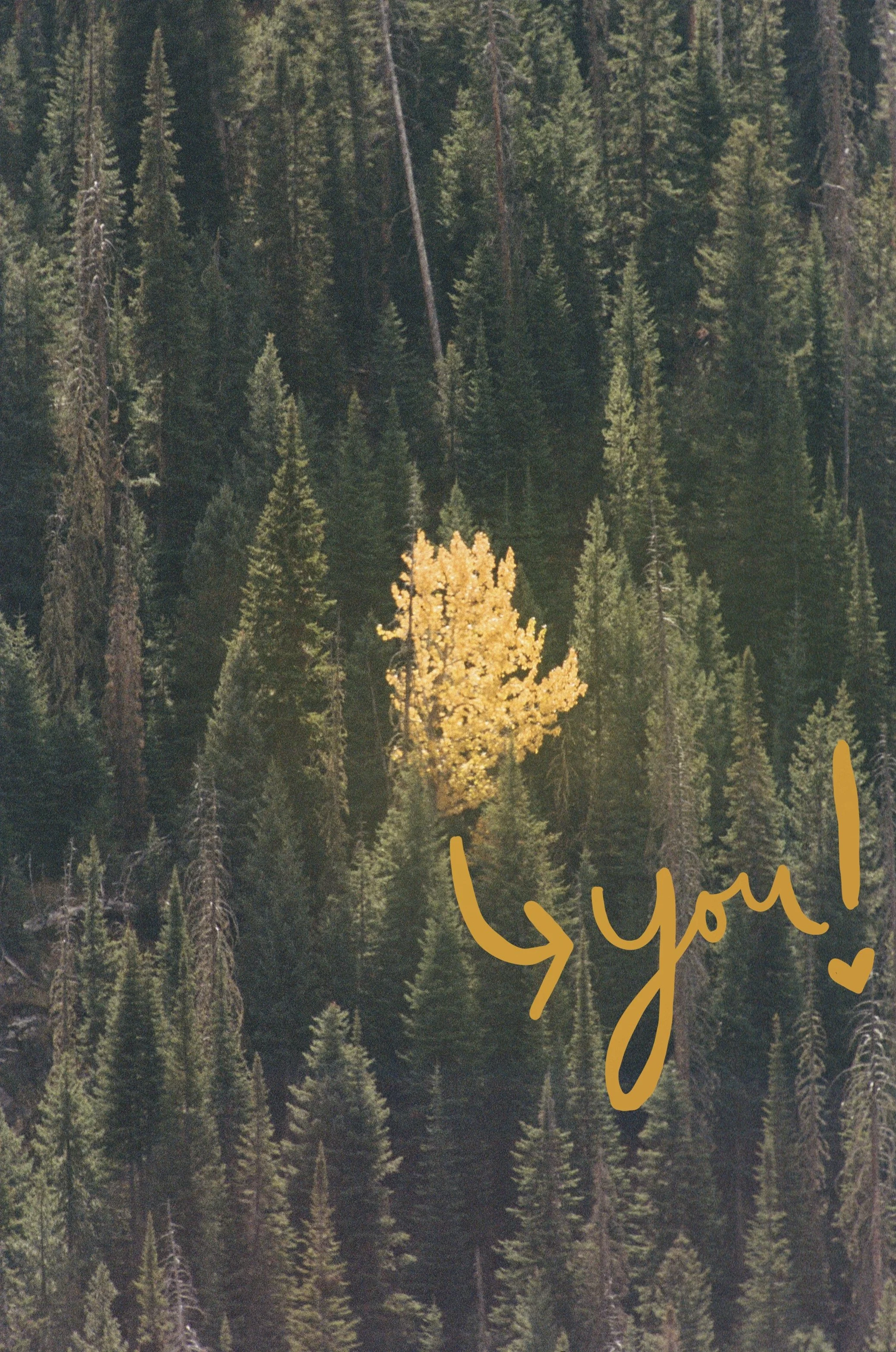 2025: An “Unstoppable” Journey