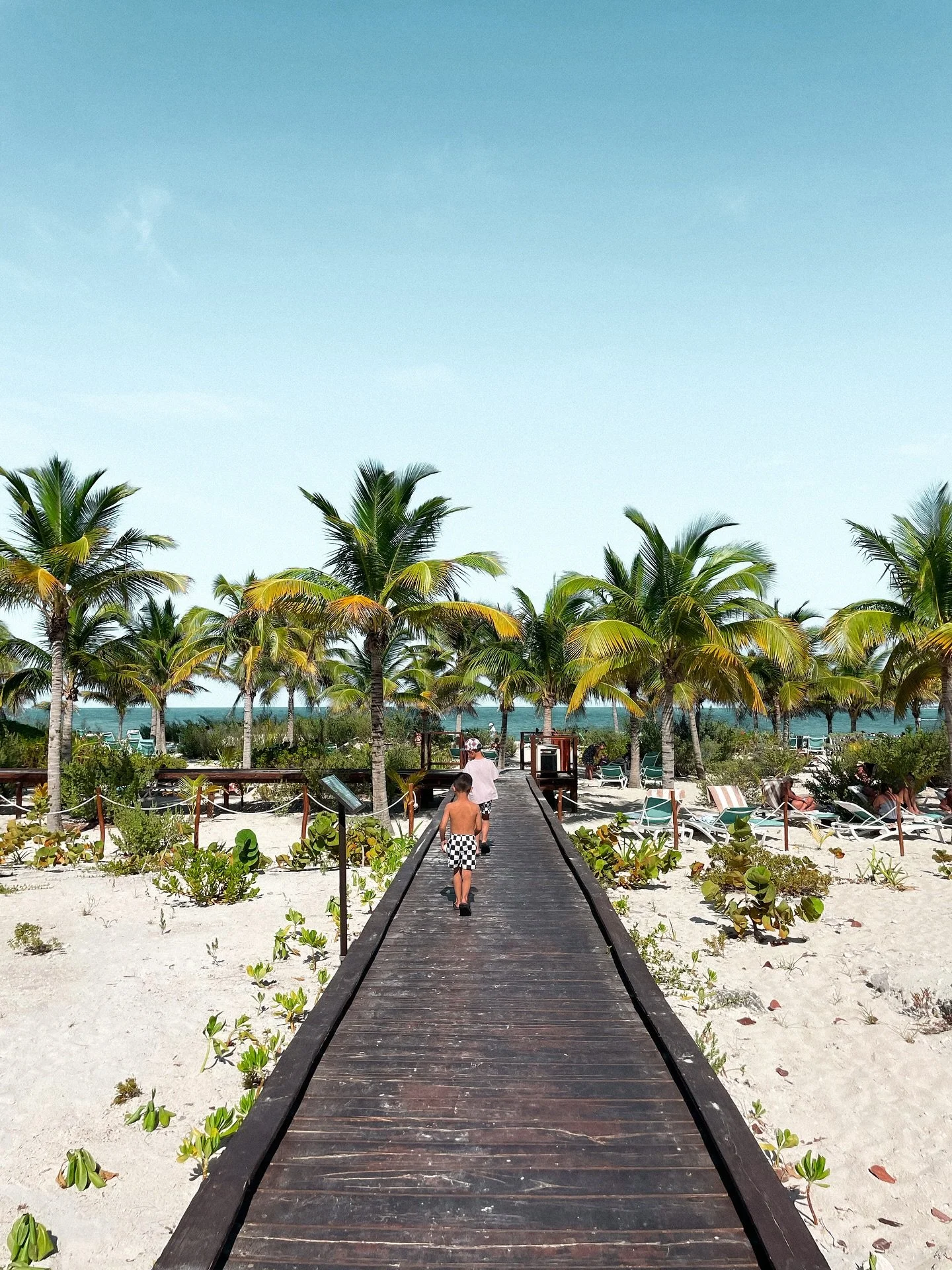 With winter around the bend, it&rsquo;s time to get intentional about your next warm escape 🌞

We found a certified sustainable, design-forward family resort that blends modern architecture with nature &mdash; @cataloniahotels @cataloniaresorts in C