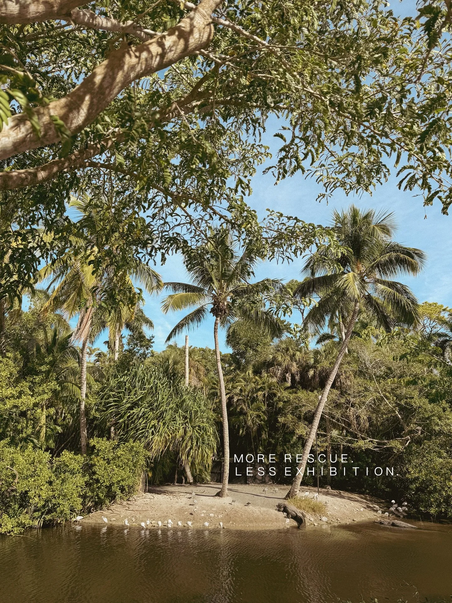 Zoos aren&rsquo;t usually on the top of our travel to do&rsquo;s &mdash; for regular reasons like crowds and busy parking lots, but also for some uneasier convo about the wild in cages. 

But @naples_zoo surprised us🦒: small, serene, and unexpectedl