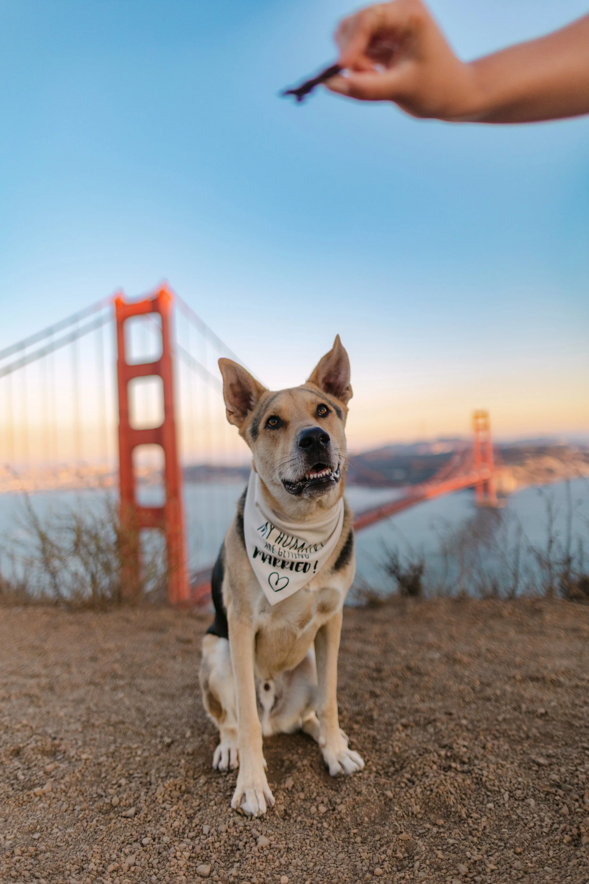 Ceremony and Reception