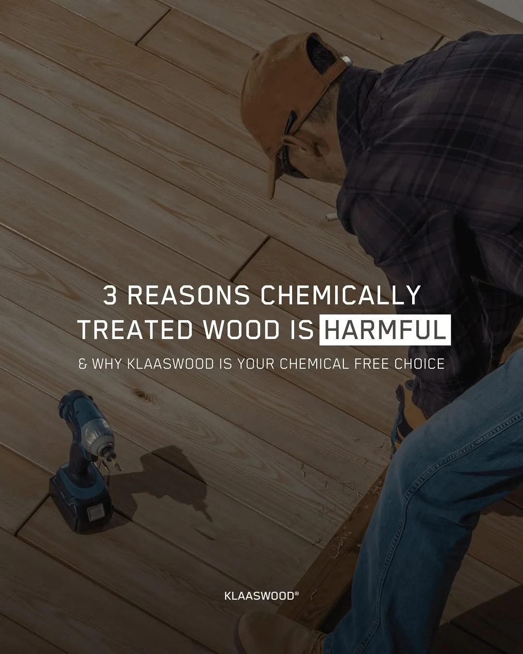 504889356_17931639387048691_5199802584649385790_n (1).jpg