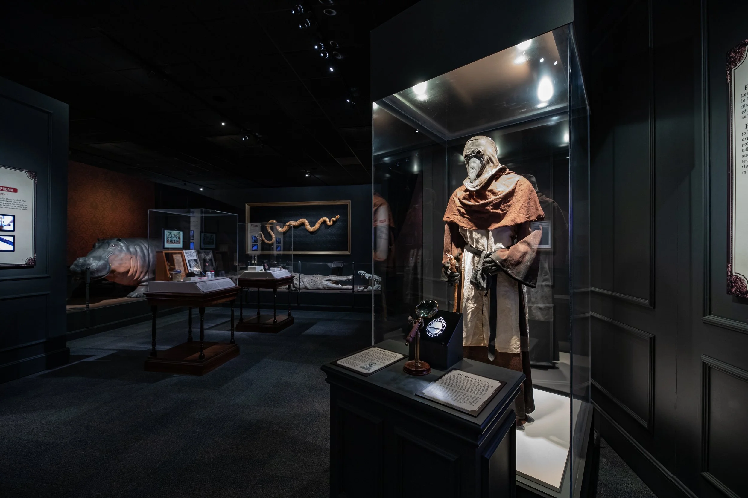 DBNC -  HMNS Ghost-1153.jpeg