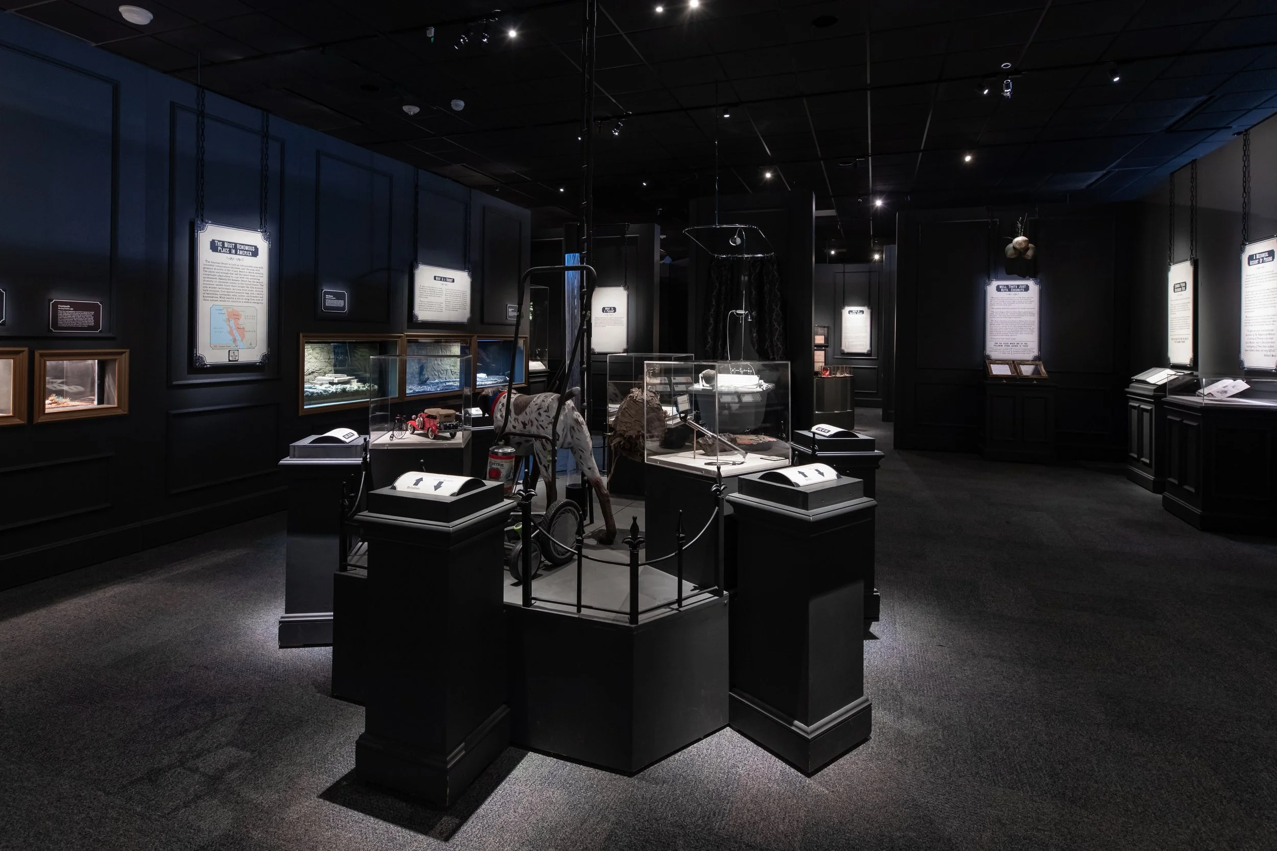 DBNC -  HMNS Ghost-1118.jpeg