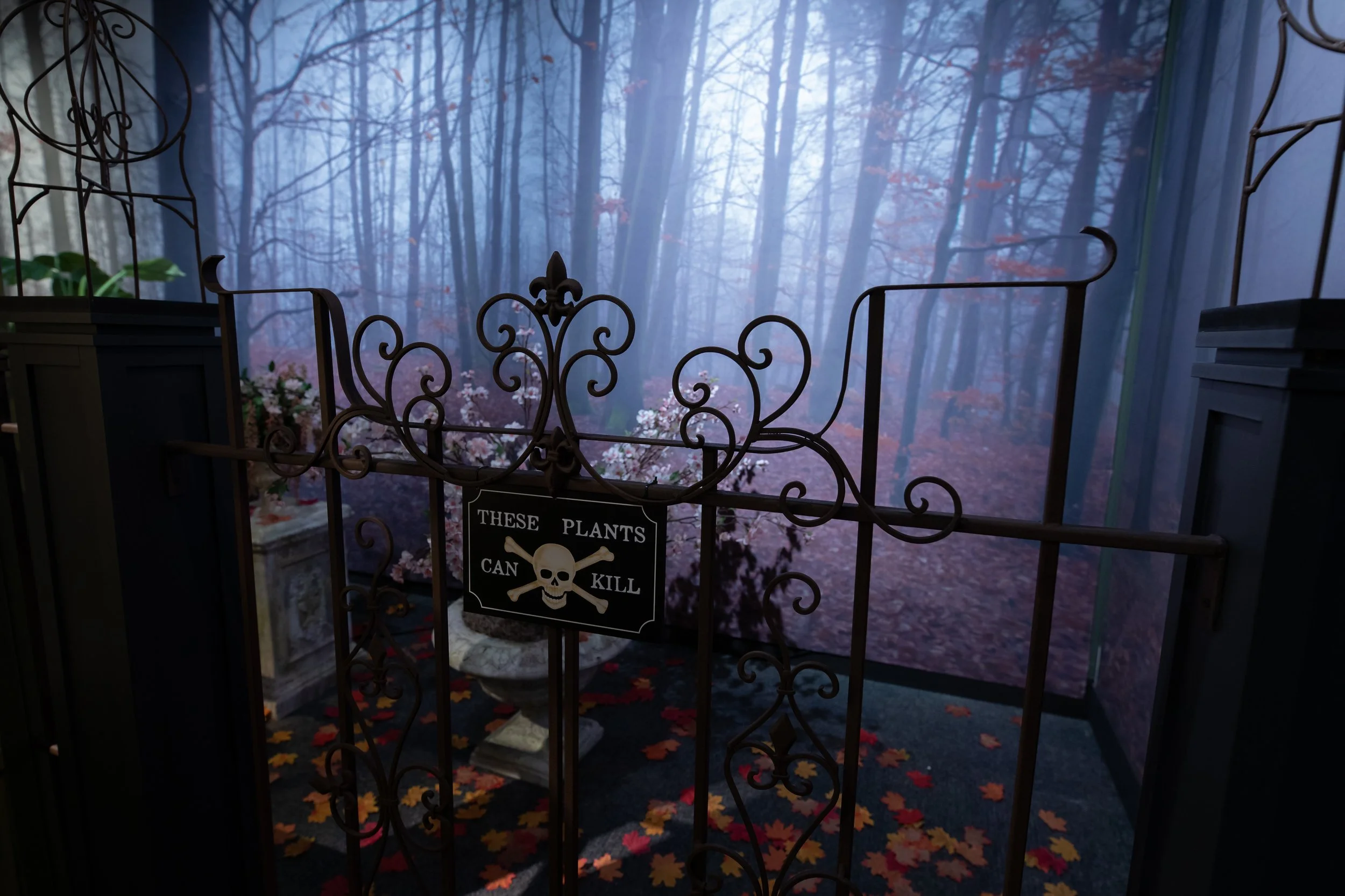 DBNC -  HMNS Ghost-1143.jpeg