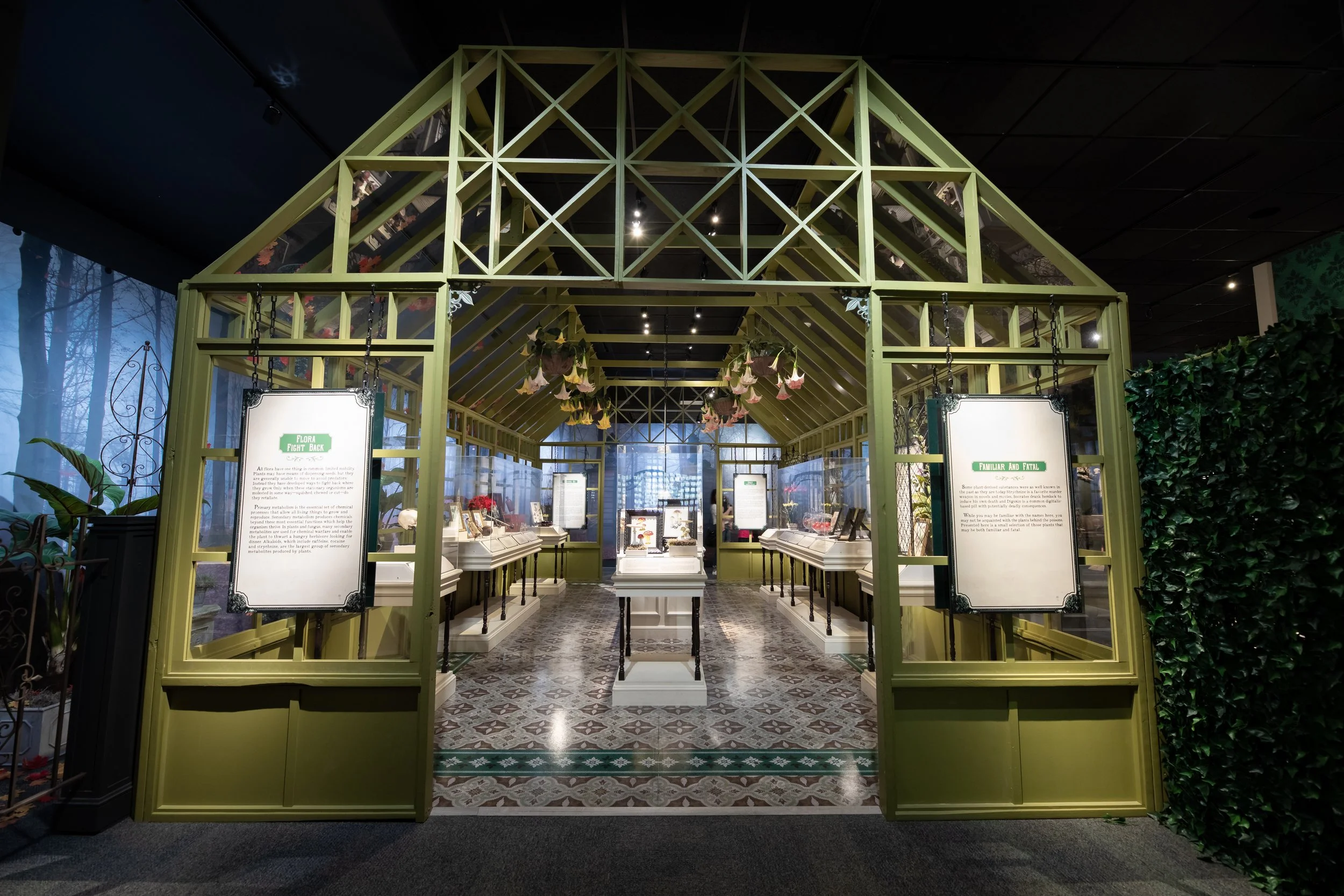 DBNC -  HMNS Ghost-1130.jpeg