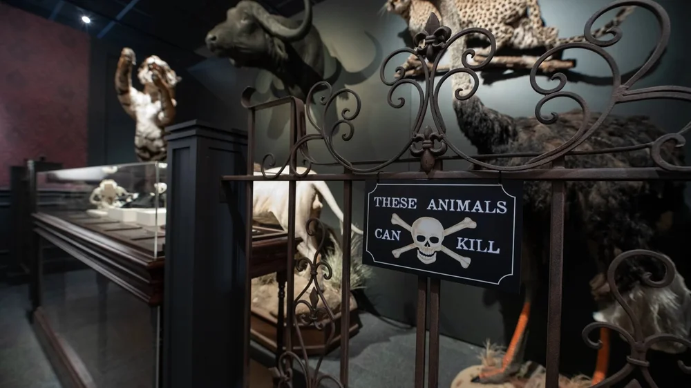 Death by Natural Causes — Stage 9 Exhibits - Where Education Meets ...