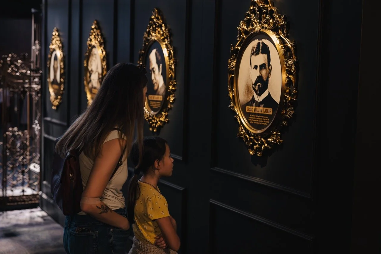 IMG_6233-Enhanced-NR(1) Large.jpeg