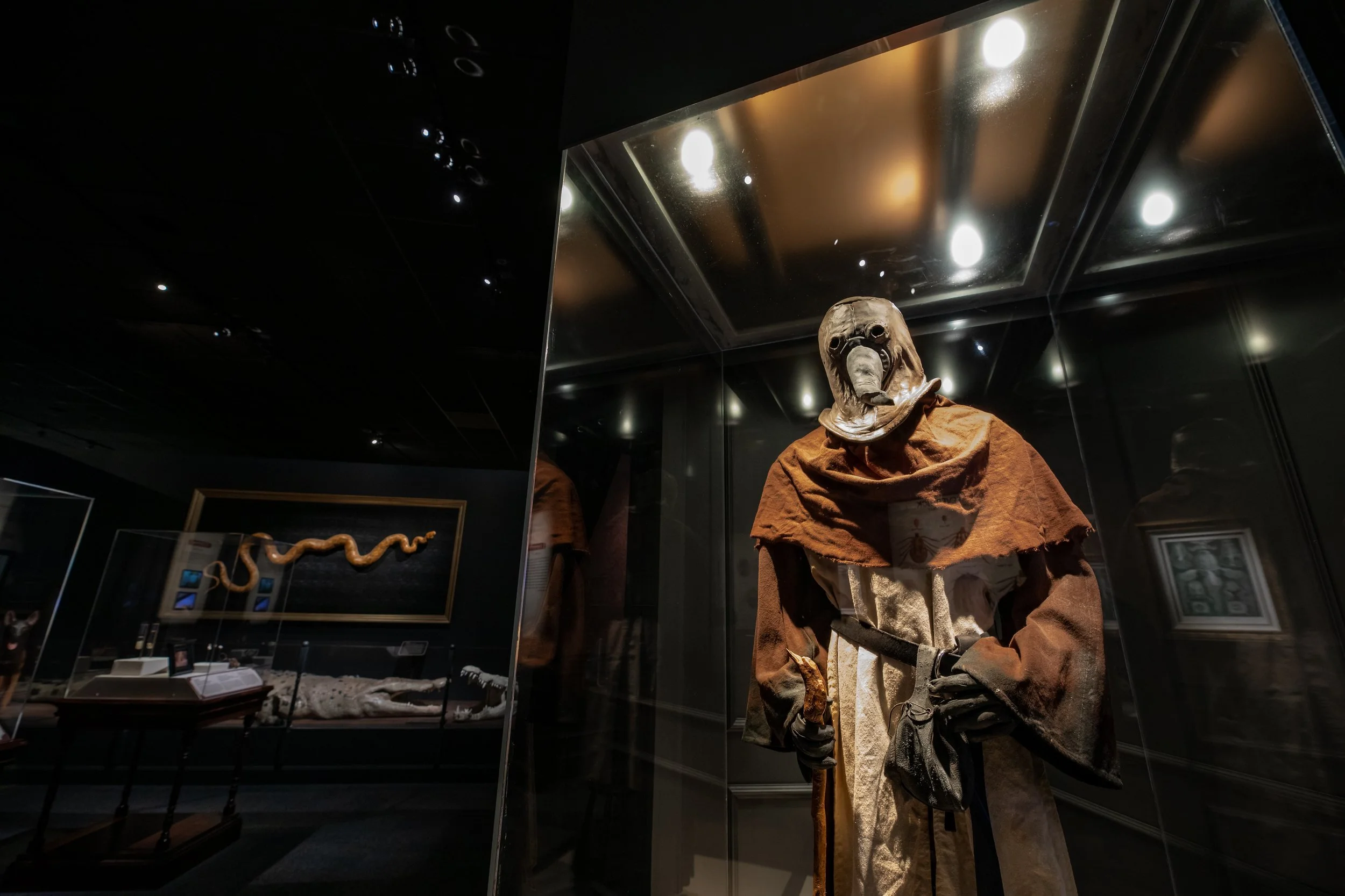 DBNC -  HMNS Ghost-1154.jpeg