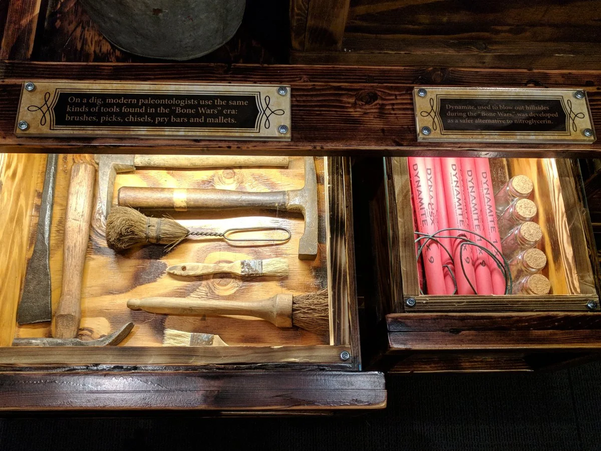 2018 Dino slide deck bone wars era drawer display sample.jpg