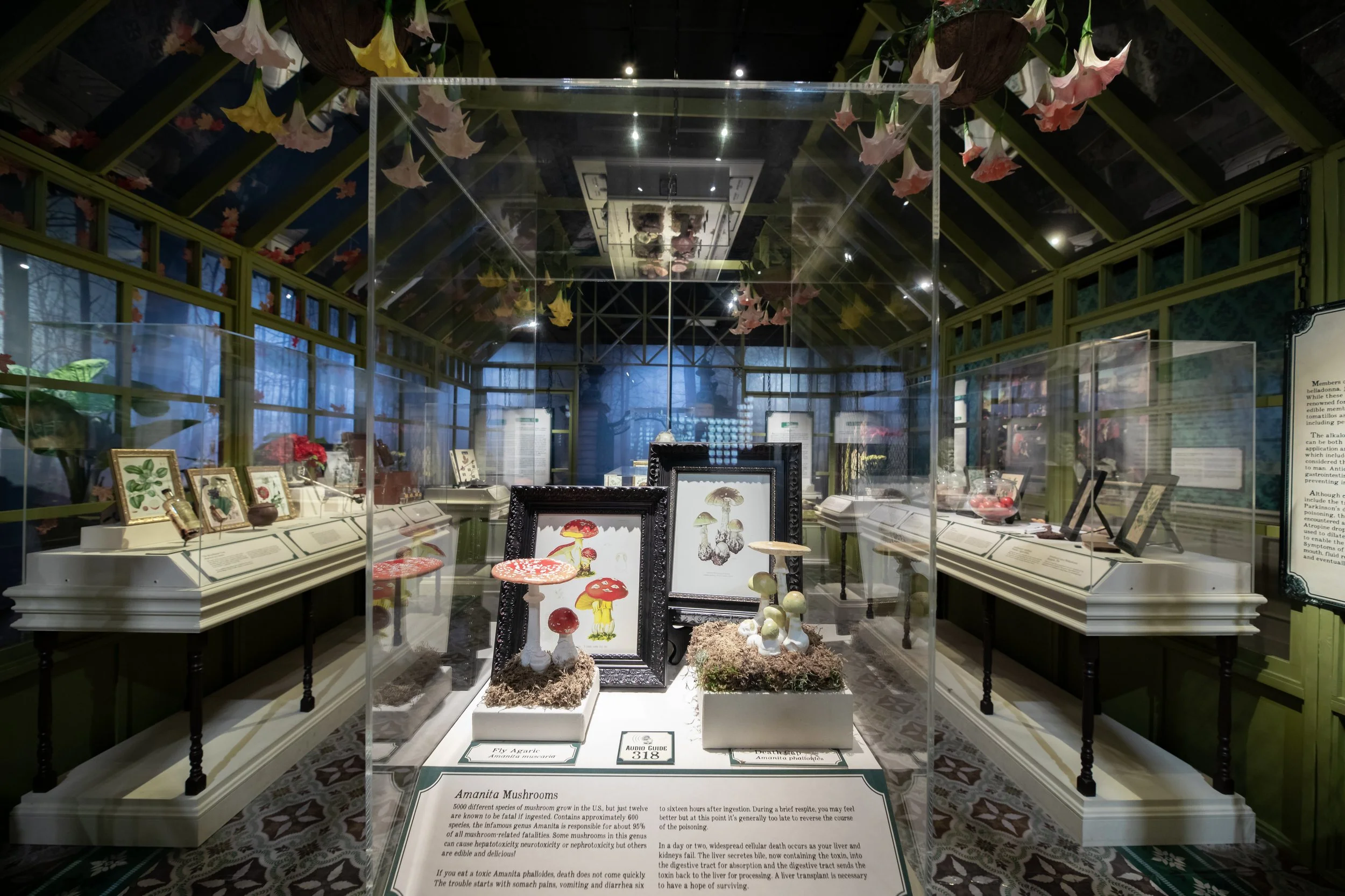 DBNC -  HMNS Ghost-1135.jpeg