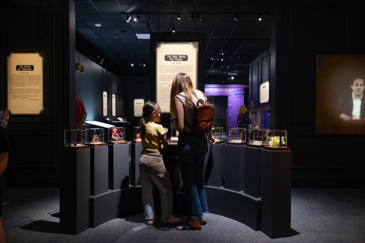 IMG_6272-Enhanced-NR(1) Large.jpeg