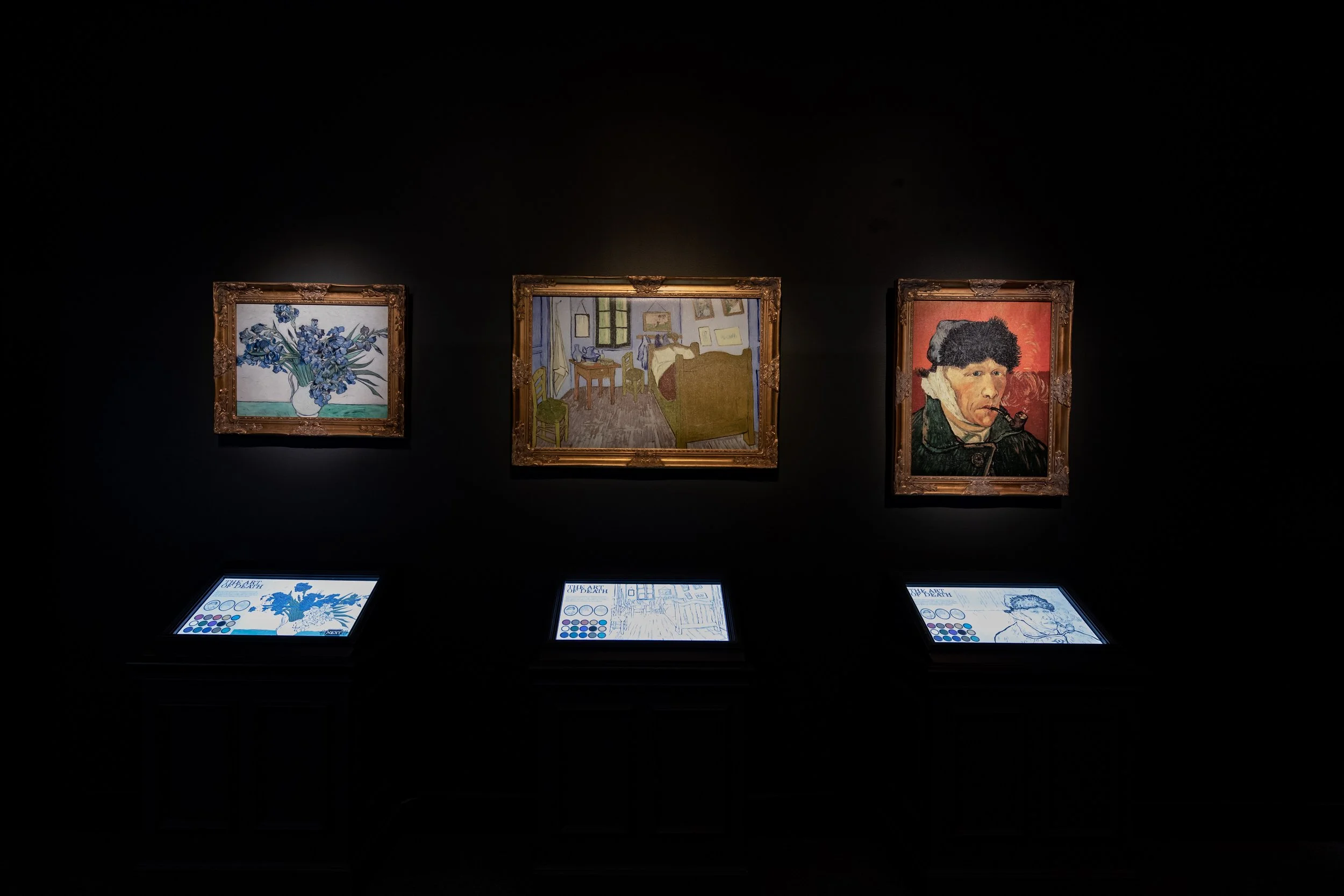 DBNC -  HMNS Ghost-1129.jpeg