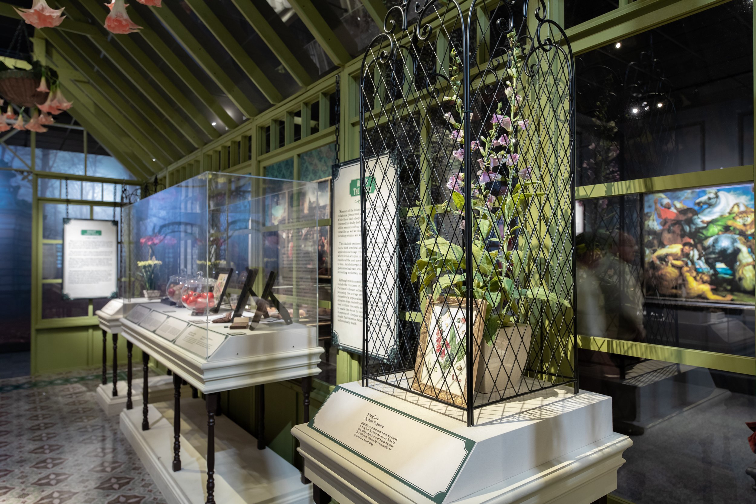 DBNC -  HMNS Ghost-1133.jpeg