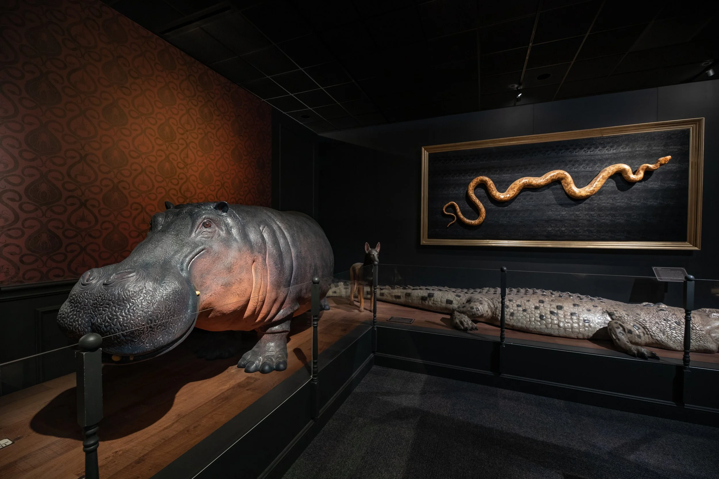 DBNC -  HMNS Ghost-1155.jpeg