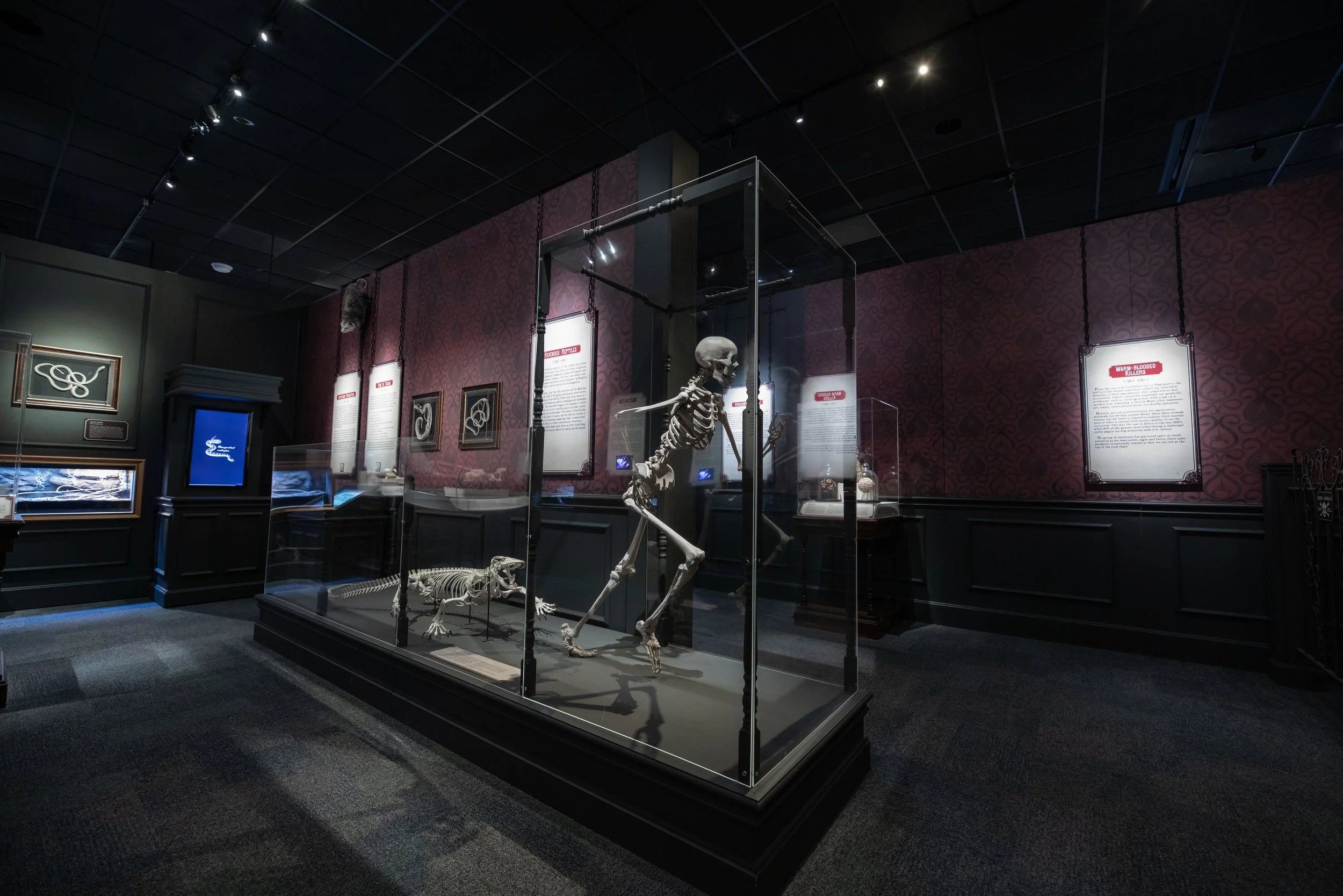 DBNC -  HMNS Ghost-1149.jpeg