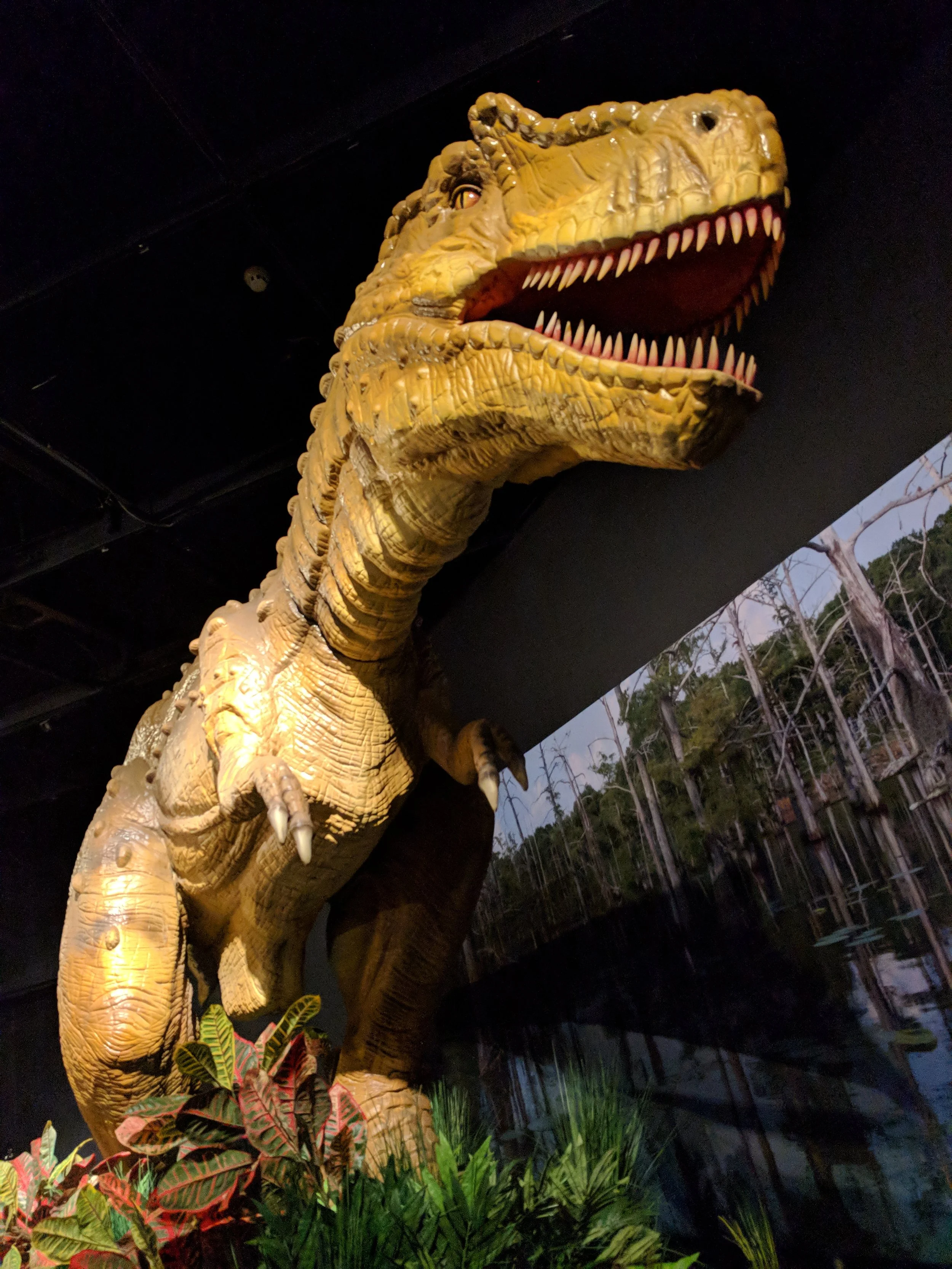 IMG_20180216_100236.jpg