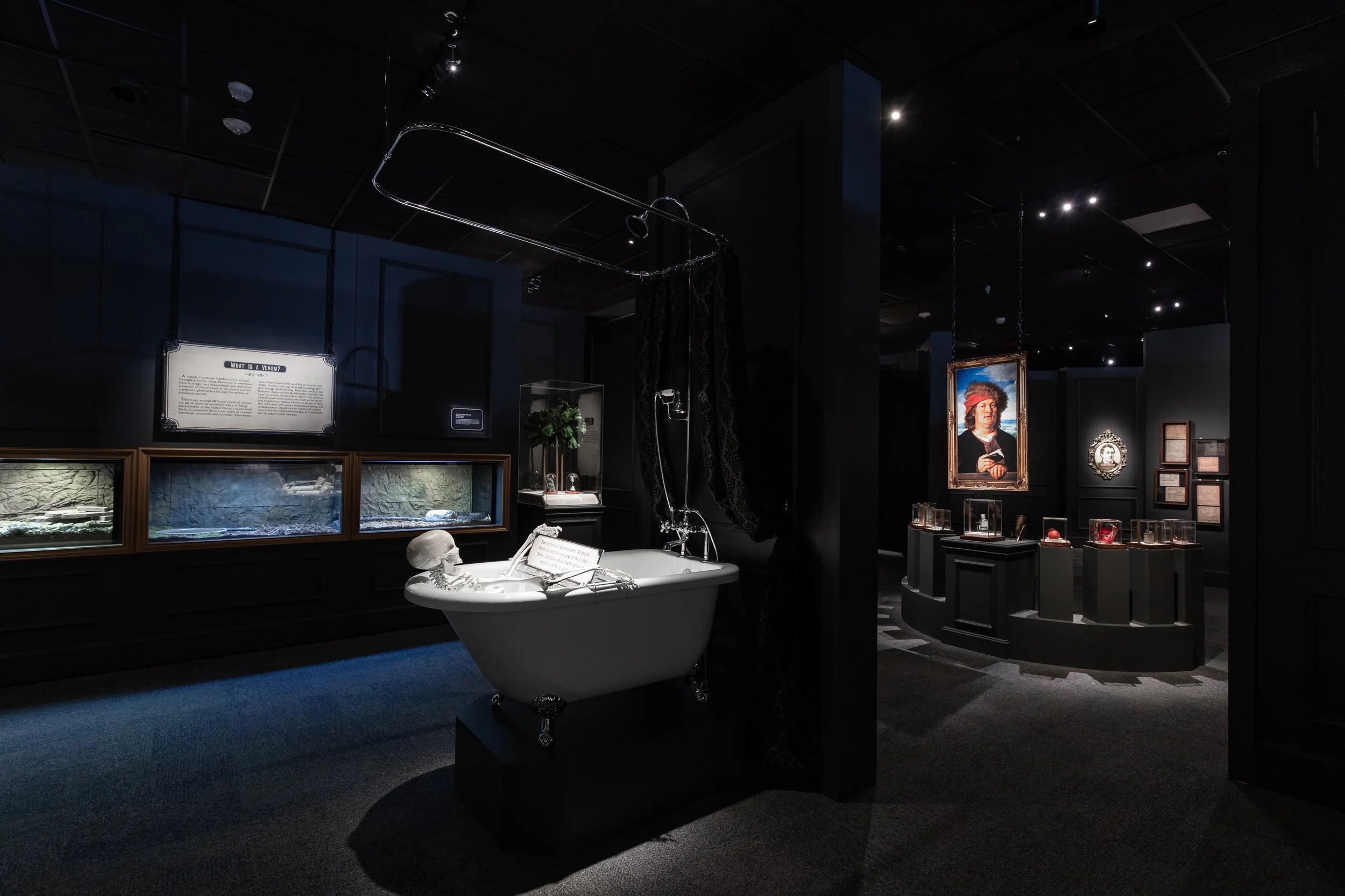 DBNC -  HMNS Ghost-1122.jpeg