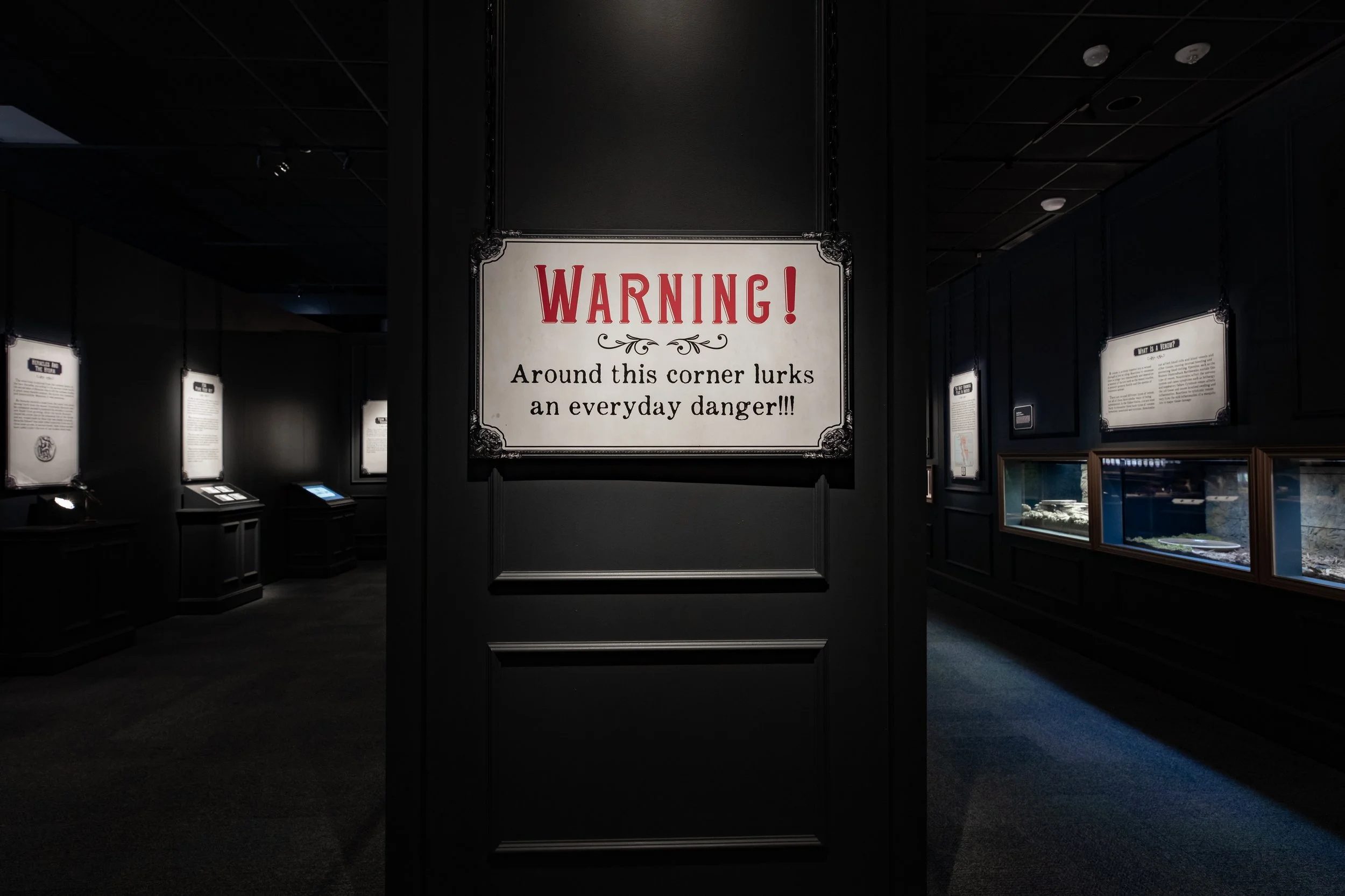 DBNC -  HMNS Ghost-1114.jpeg