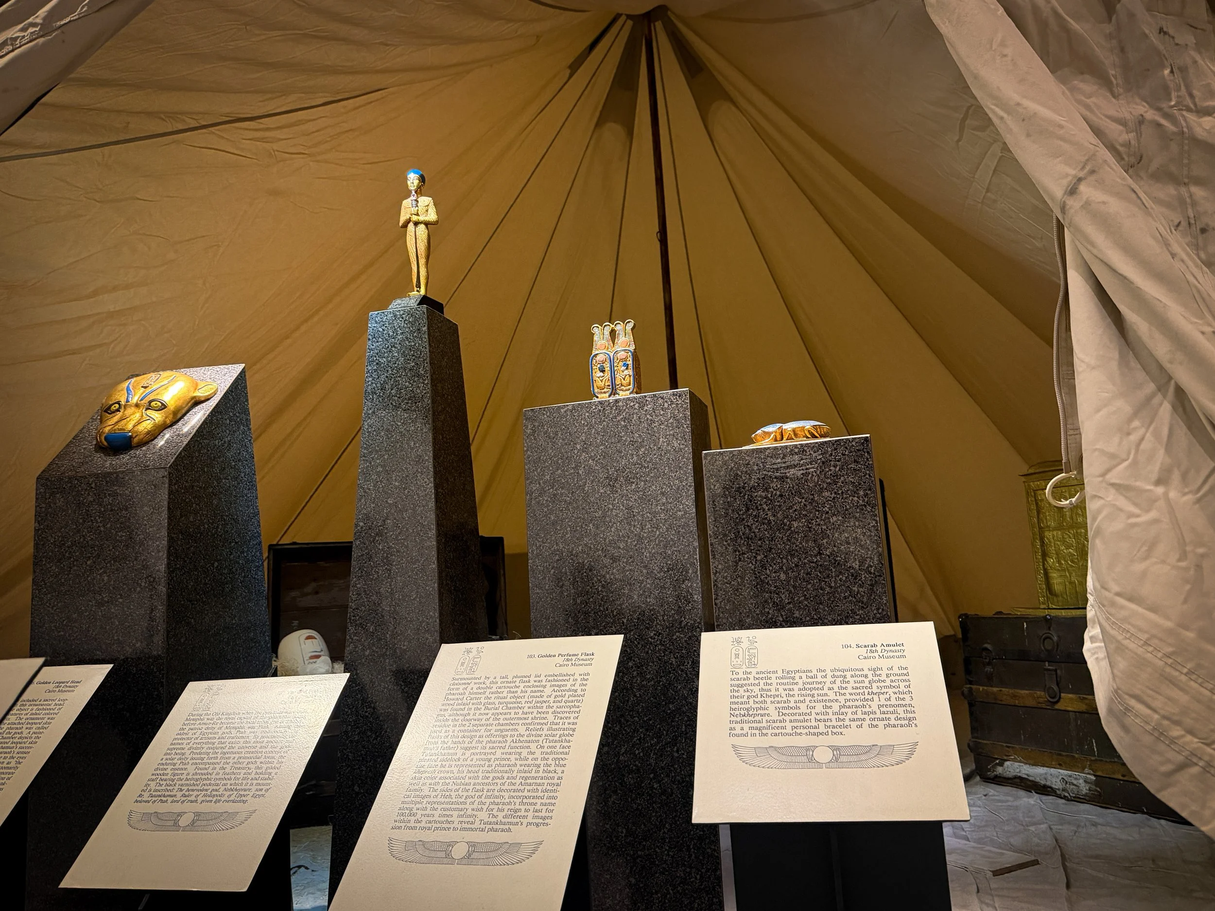 IMG_0748.jpg