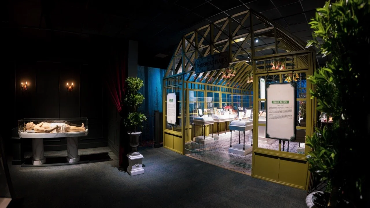 IMG_6149-Enhanced-NR-Pano(1) Large.jpeg