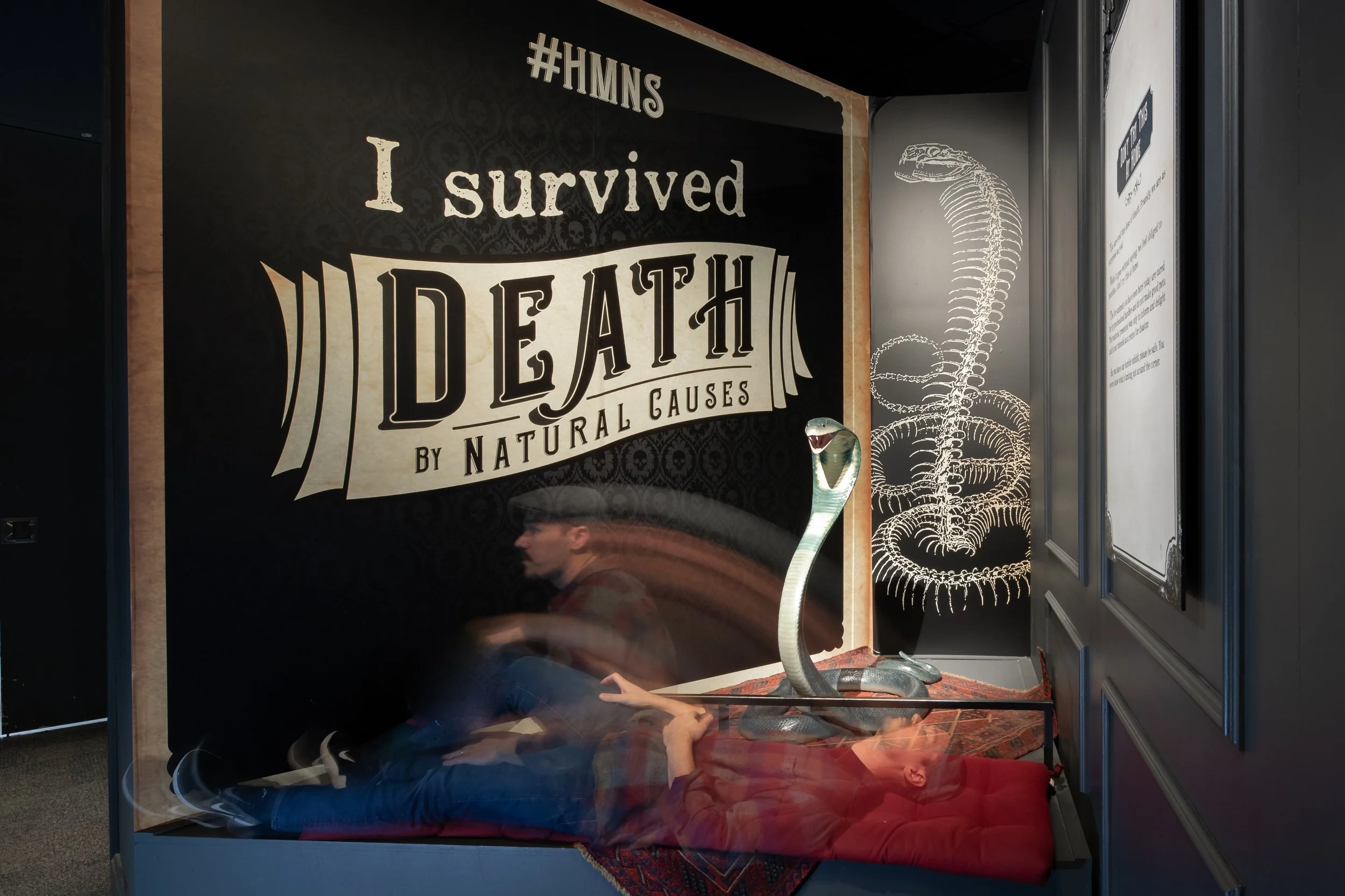 DBNC -  HMNS Ghost-1160.jpeg