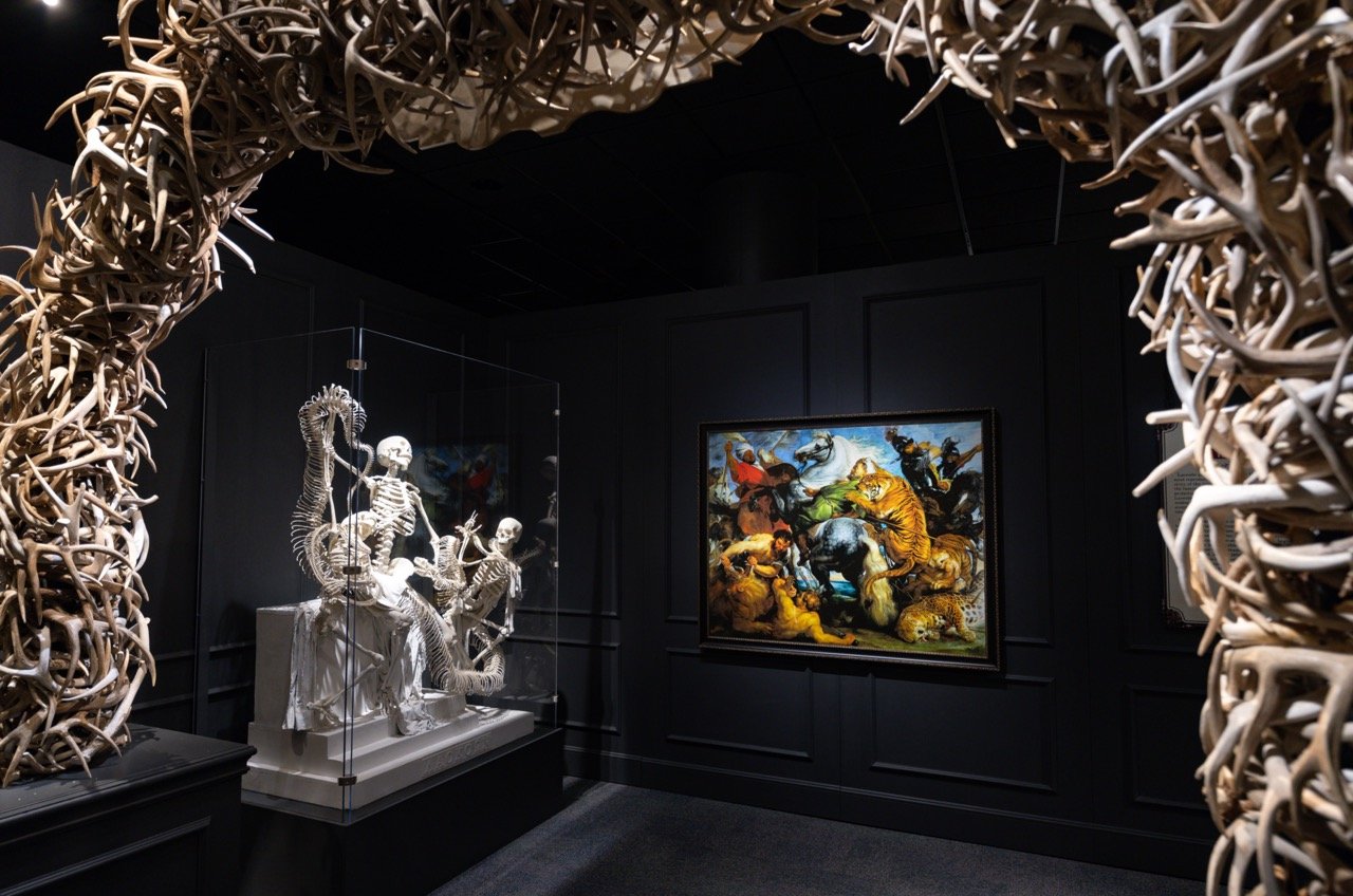 IMG_6206(1) Large.jpeg